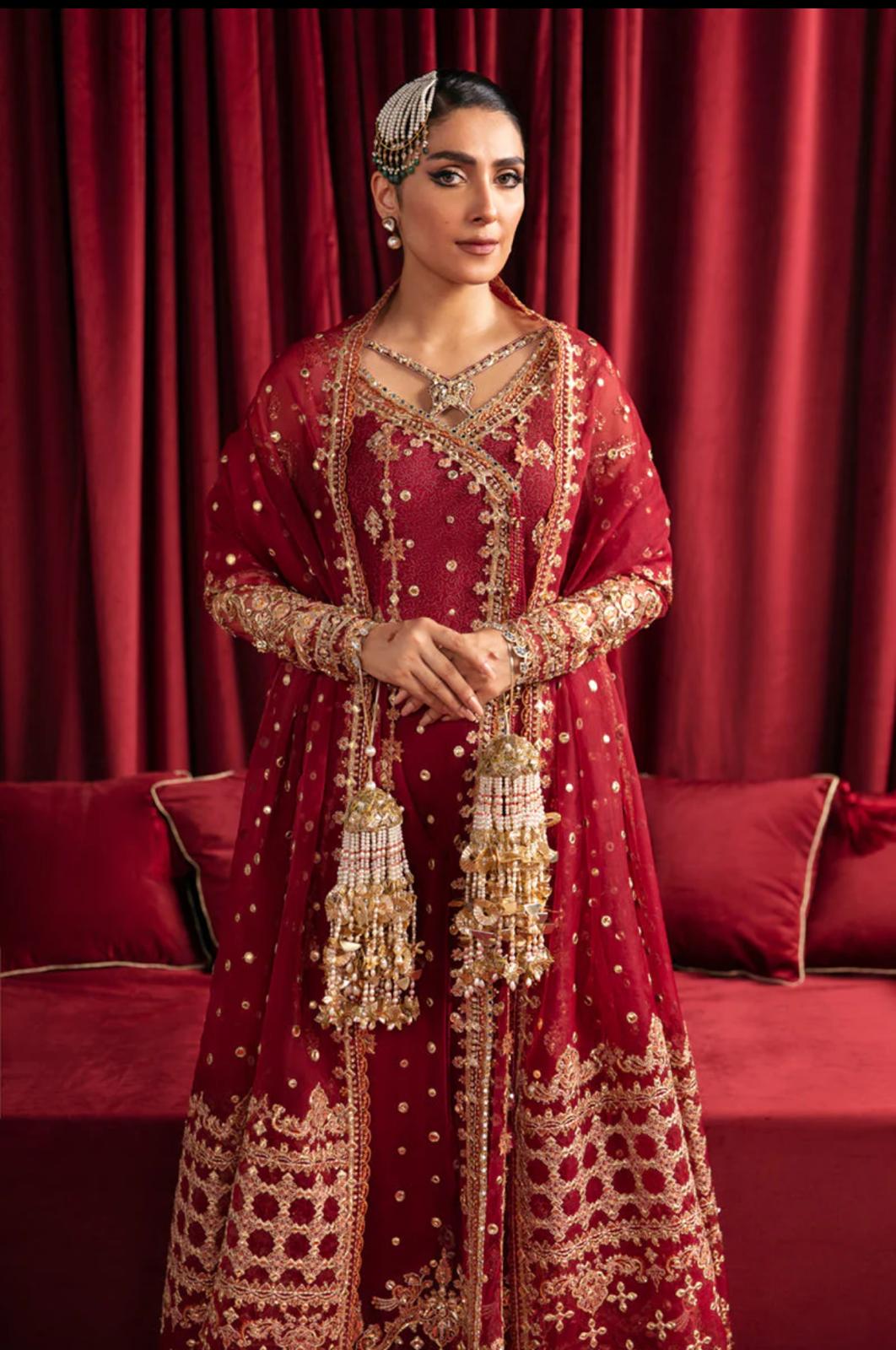 Hussain rehar (INSPIRED) ..3 pcs heavy embroidered net Maxi with soft organza duppatta…wedding/ Formal wear