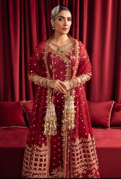 Hussain rehar (INSPIRED) ..3 pcs heavy embroidered net Maxi with soft organza duppatta…wedding/ Formal wear